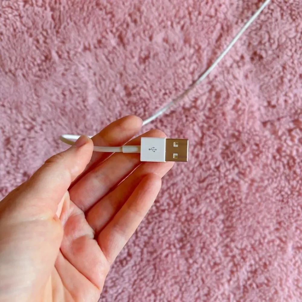 Apple USB to Lightning Charging Cable White 3.3 ft iPhone iPad